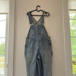 Citizens of humanity, overalls
